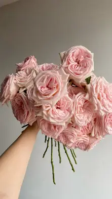 Moodboard & Floral