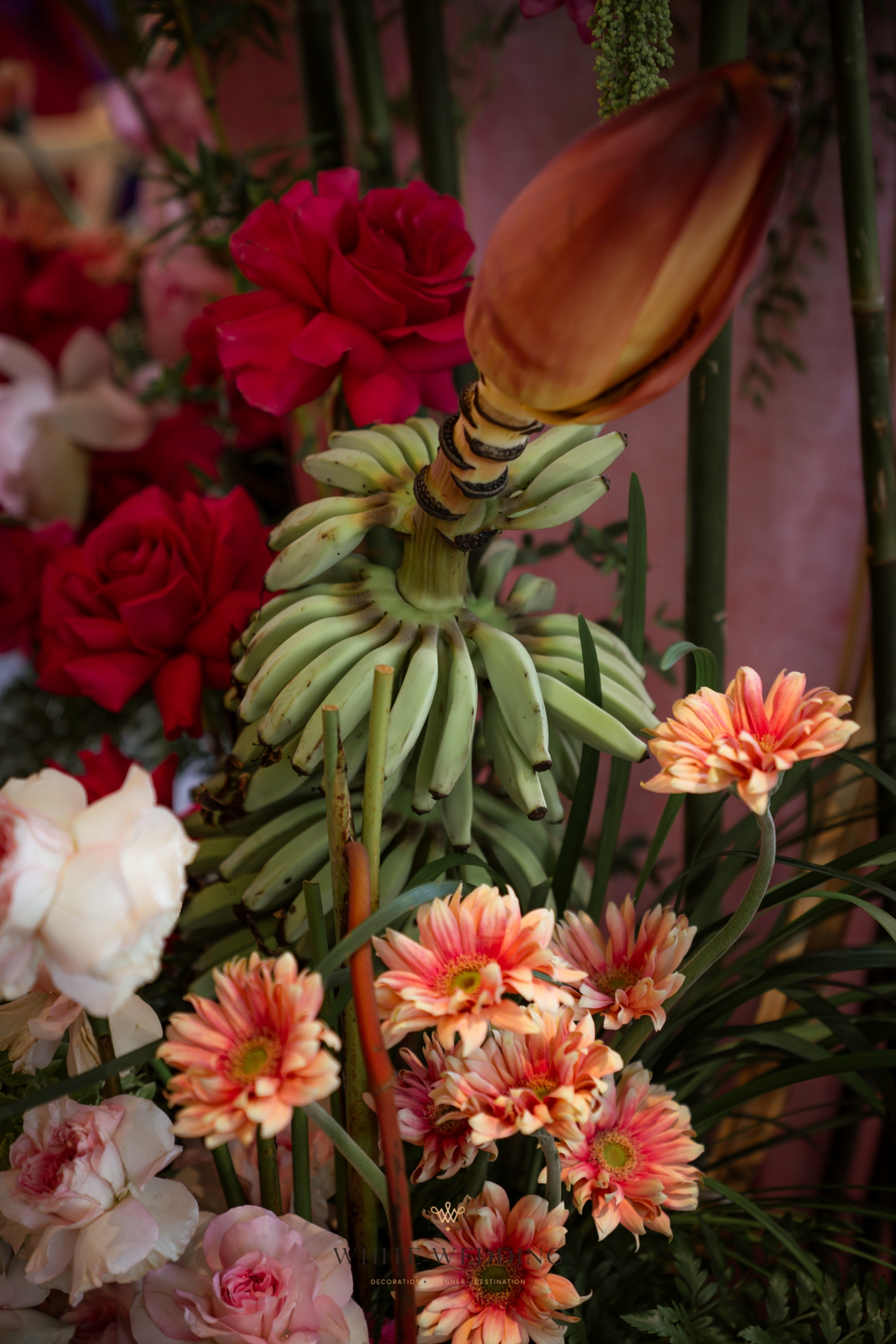 Hồng Môn Hoa Viên 2 batch trang tri le gia tien hong mon hoa vien white wedding 13