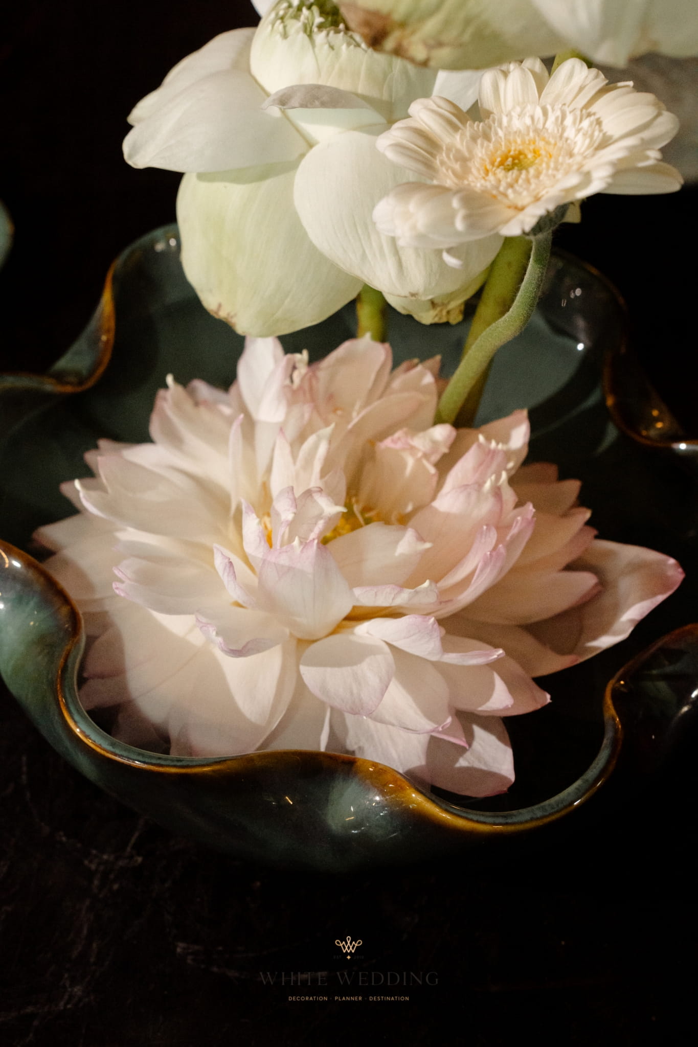 Liên Vân Nhã Sắc 4 trang tri le gia tien lien van nha sac white wedding 27