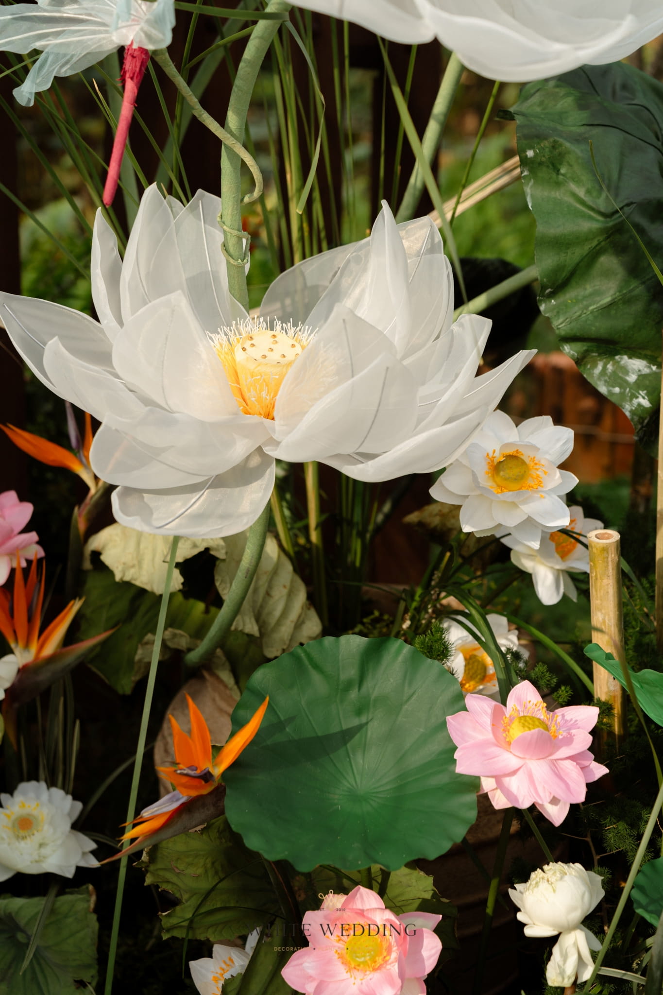 Liên Vân Nhã Sắc 19 trang tri le gia tien lien van nha sac white wedding 35