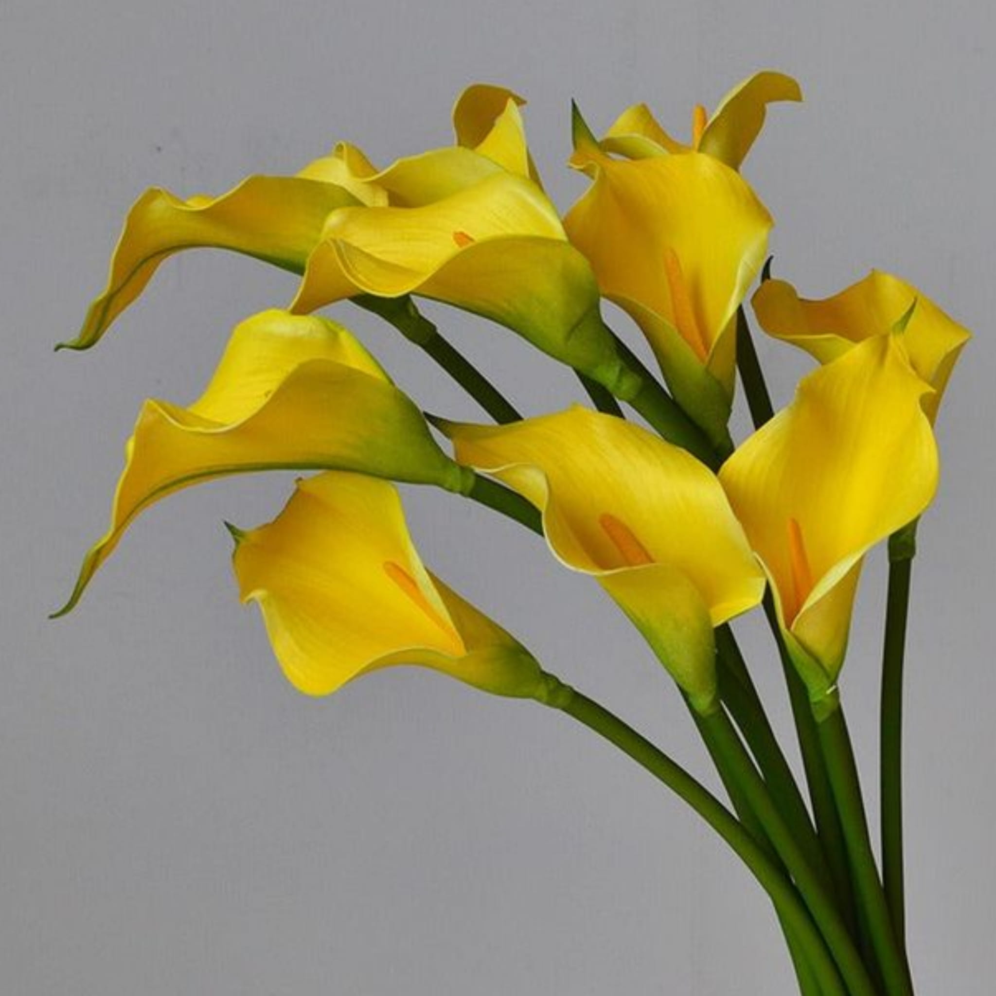 Se Duyên 4 trang tri le gia tien se duyen white wedding 20