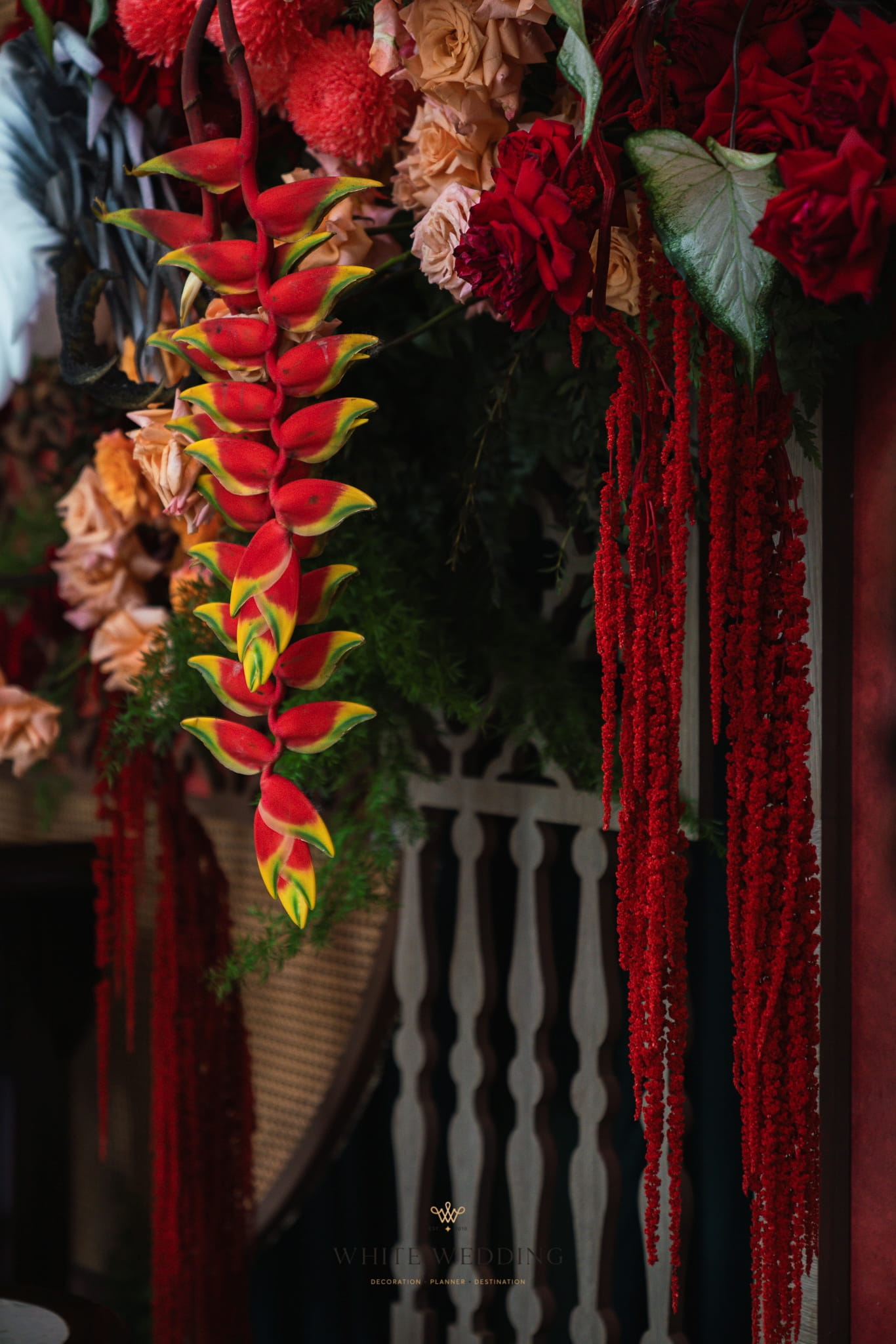 trang tri le gia tien huyen sac thien dieu white wedding 21 1