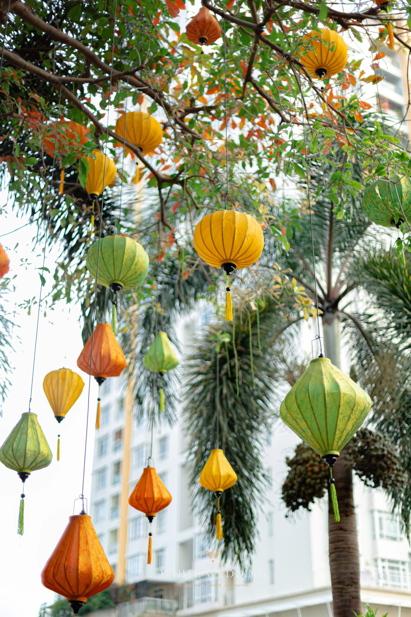 Khổng Tước 3 trang tri le gia tien khong tuoc white wedding 25 1