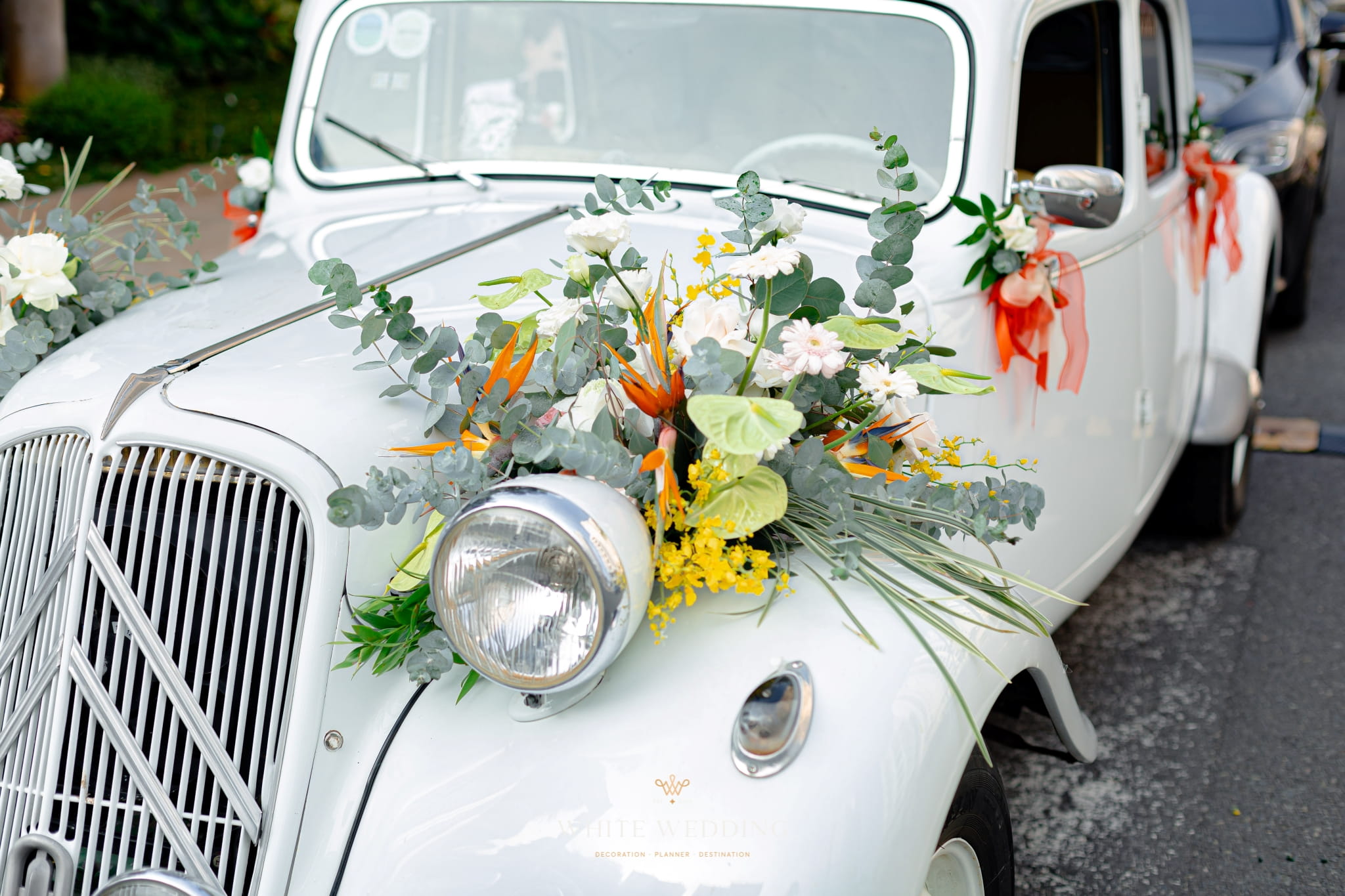 Khổng Tước 13 trang tri le gia tien khong tuoc white wedding 28 1