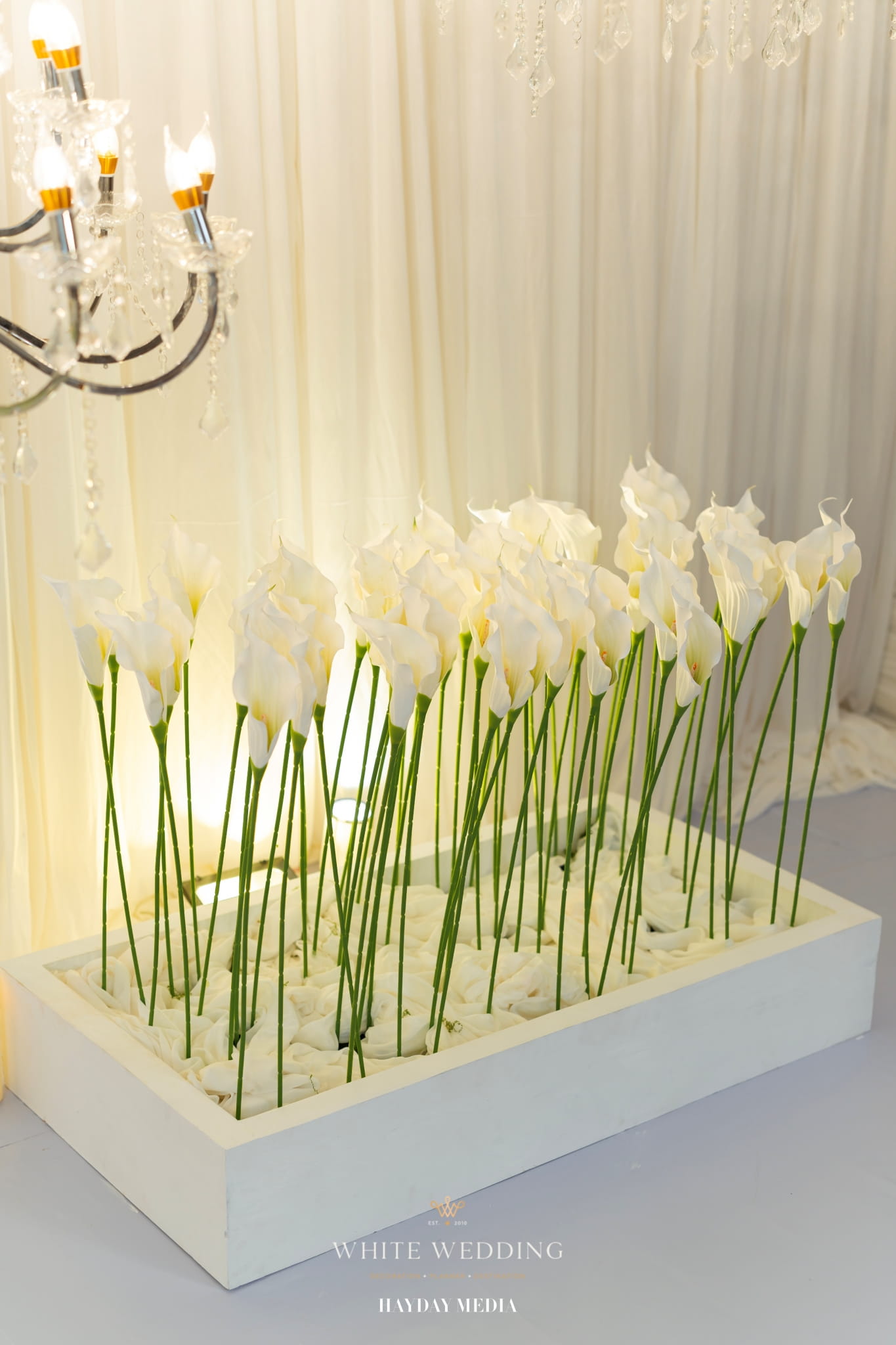 trang tri tiec cuoi less but lasting white wedding 12