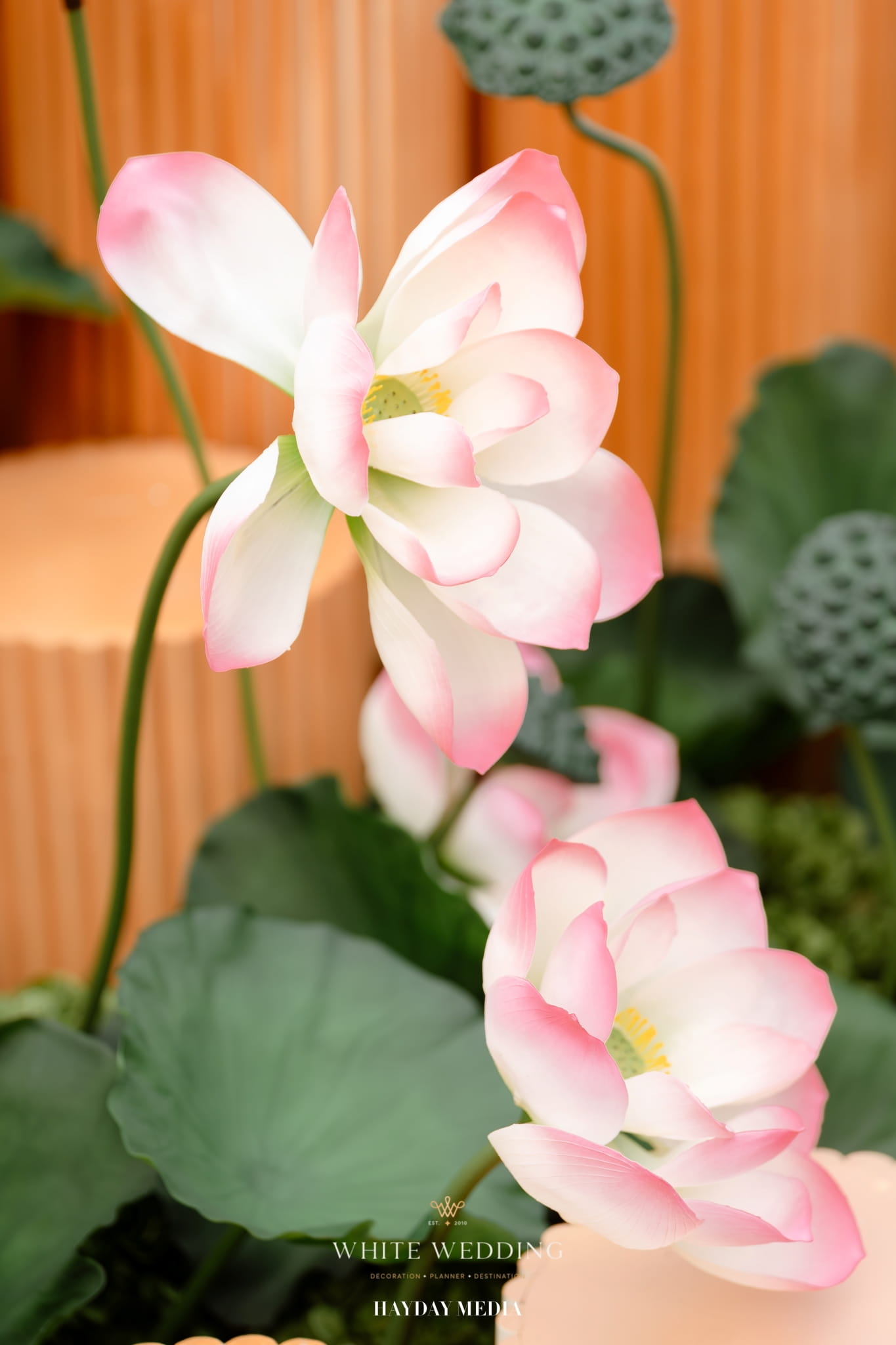 Tinh Hoa Việt Nam 80 trang tri tiec cuoi tinh hoa viet nam white wedding 32 2