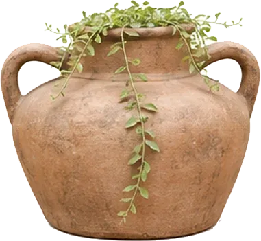 Bình gốm đất nung điểm dây leo